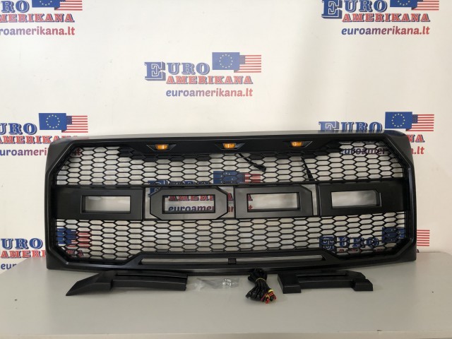 Front Bumper Grille (Raptor Style)